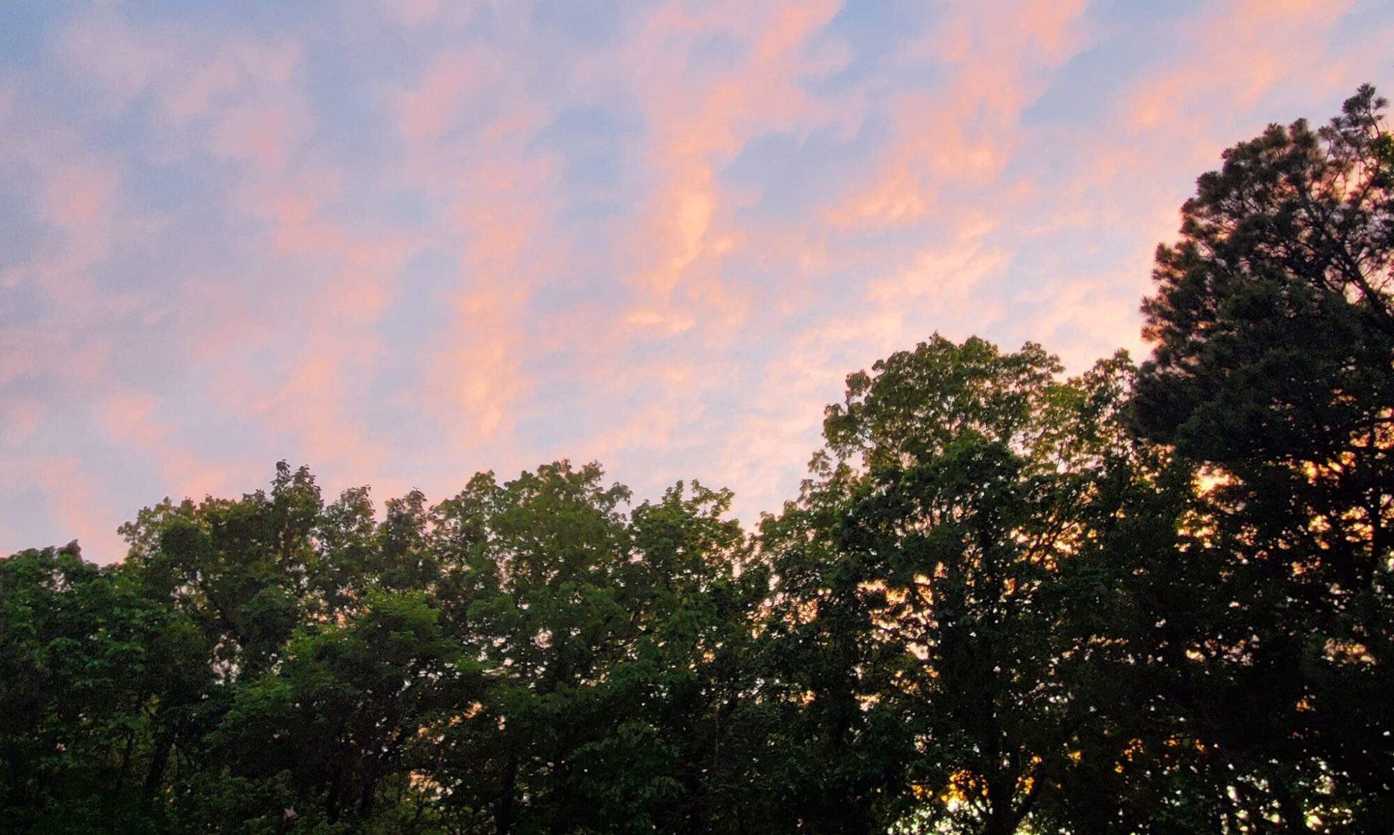 sky and pink clouds photo by Donna Villani